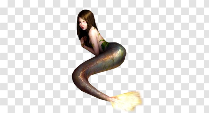 Mermaid Siren Ping Tail - Long Hair Transparent PNG