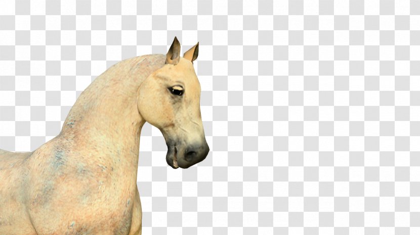 Flash Animation Horse Clip Art - Stallion - Of Animals Transparent PNG