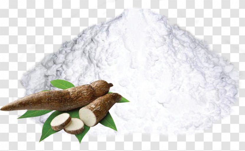 Cassava Starch Flour Tapioca Food Transparent Png,How Do Birds Mate Slow Motion