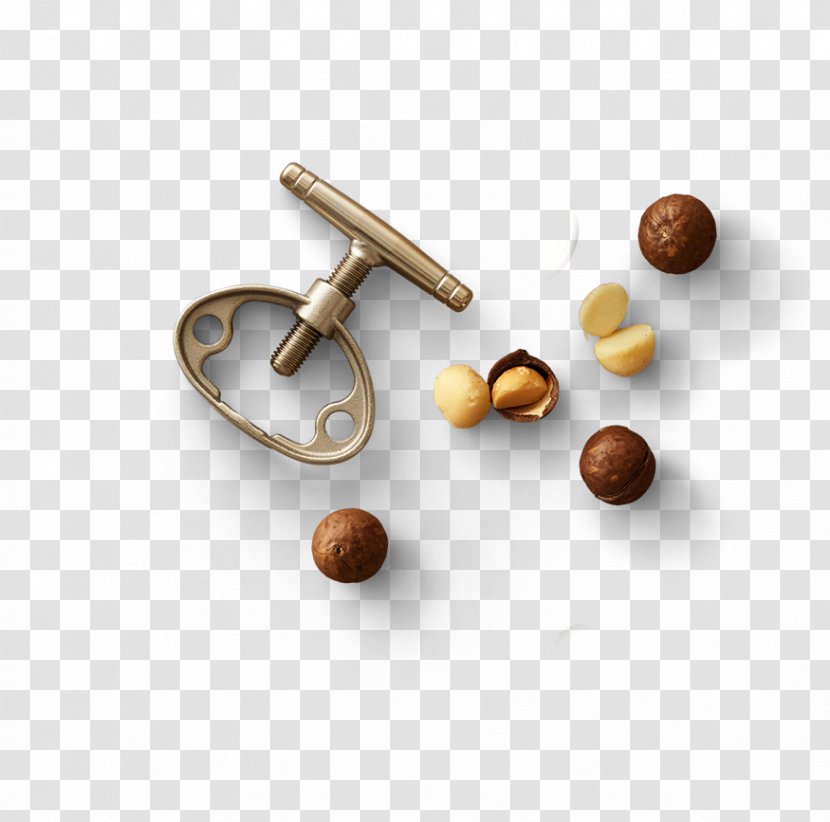 Macadamia Nut Clip Art - Jewellery - Nuts Transparent PNG