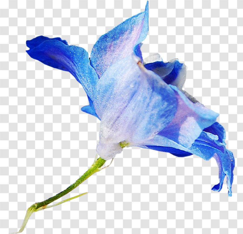 Cut Flowers Blue Petal - Flower Transparent PNG