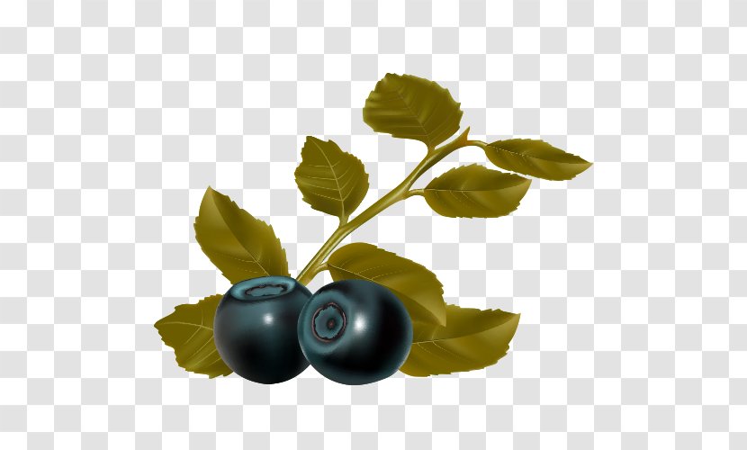 Blueberry Leaf Fruit - Blackcurrant - Cartoon Blueberries Transparent PNG