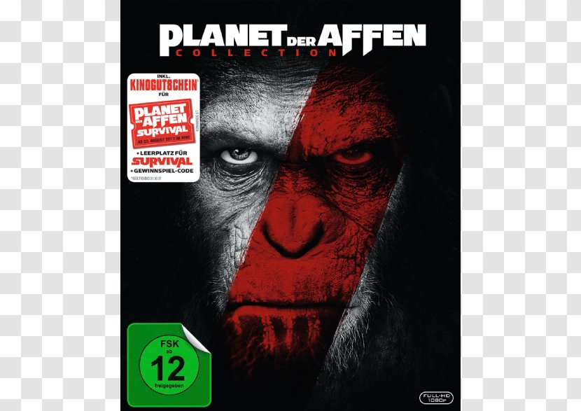 Blu-ray Disc Planet Of The Apes Blue Eyes Film DVD - Box Set - Dvd Transparent PNG