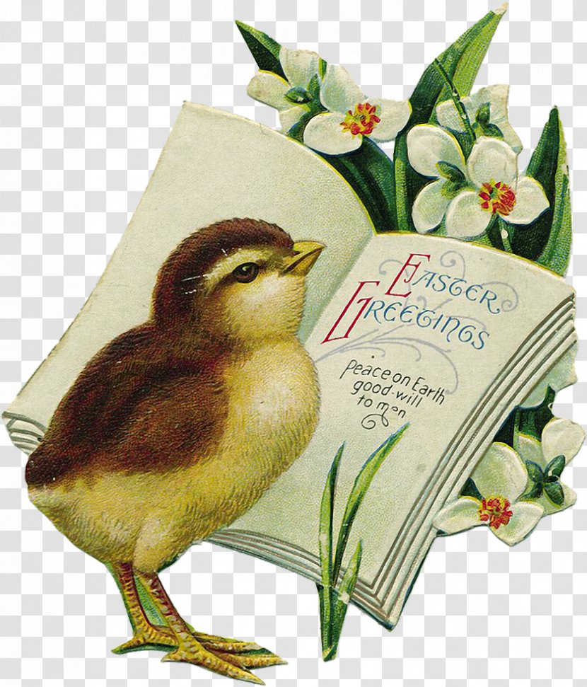 Easter Bunny Egg Postcard Clip Art - Letter Transparent PNG