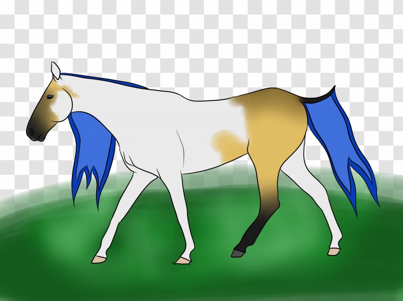 Mule Foal Stallion Mare Mustang - Horse Tack Transparent PNG