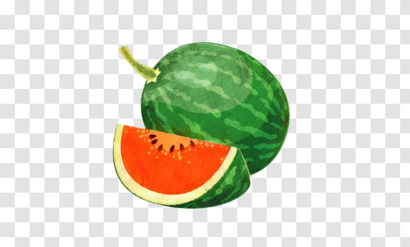 Watermelon Cartoon - Citrullus - Superfood Vegan Nutrition Transparent PNG
