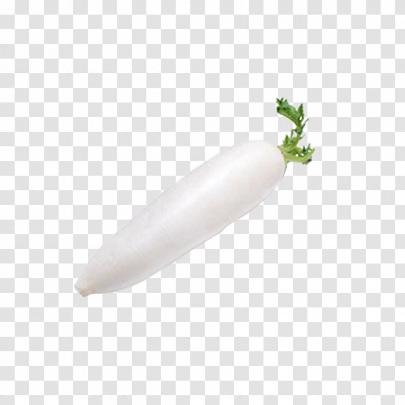 Vegetable - Food - White Radish, Map Transparent PNG