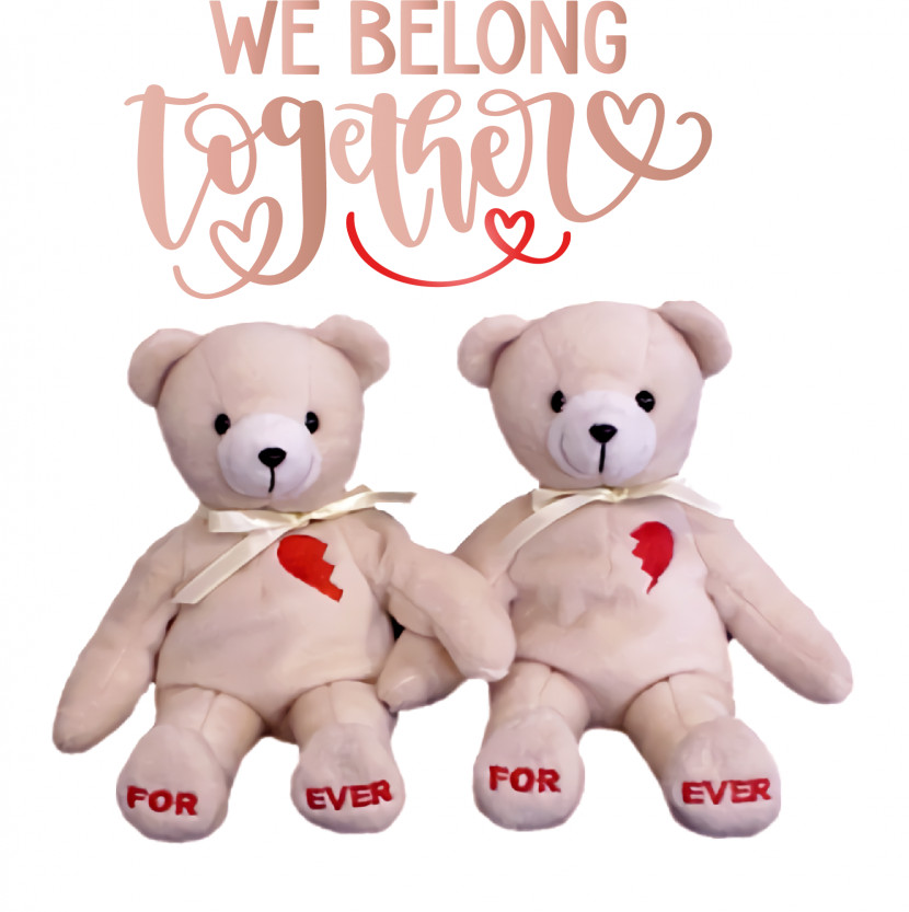 Teddy Bear Transparent PNG