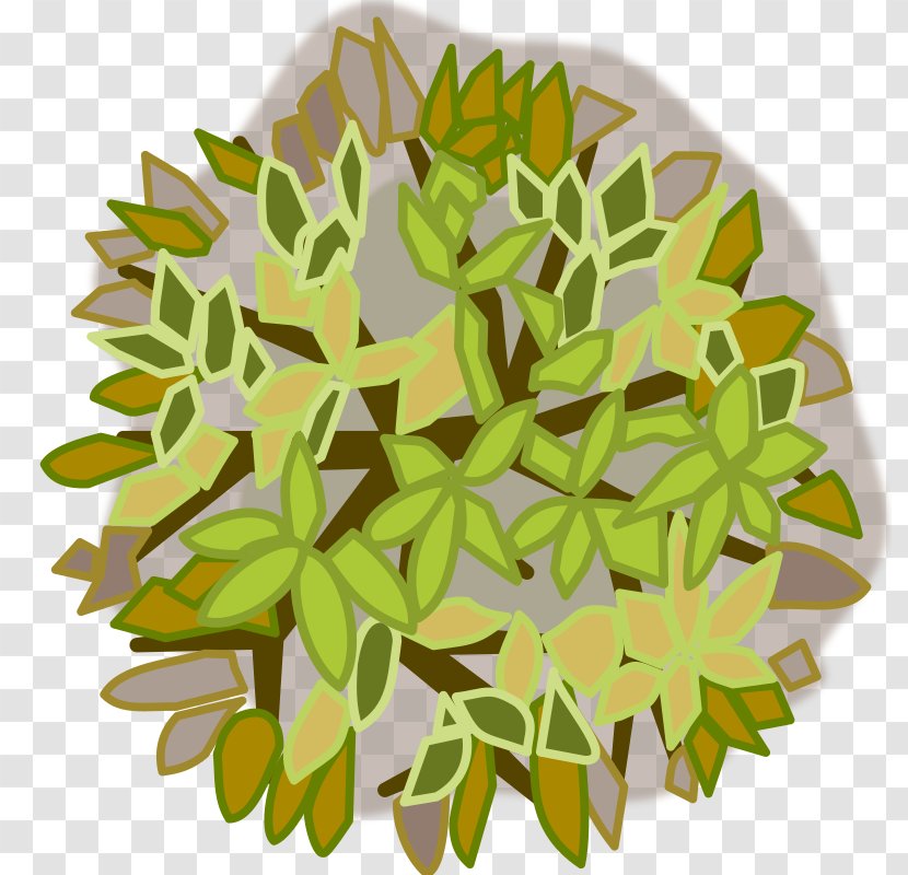 Tree Clip Art - Black Locust Transparent PNG