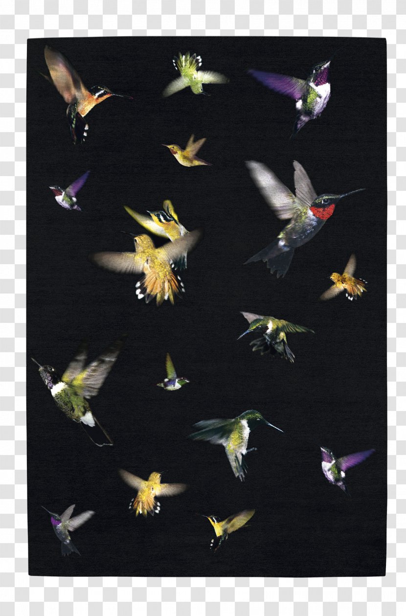 Fashion Design Hummingbird Carpet Designer - Yellow - Vivienne Westwood Transparent PNG