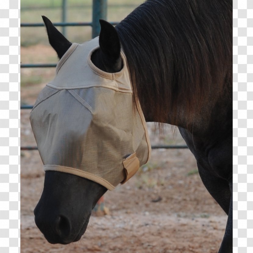 Horse Fly Mask Rein Insect - Snout Transparent PNG