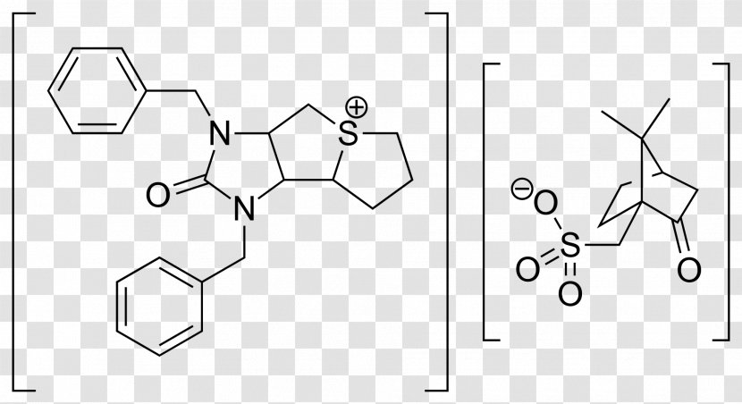 Trimetaphan Camsilate Brexpiprazole Dopamine Receptor Pharmaceutical Drug - Parallel - Parasympathetic Nervous System Transparent PNG