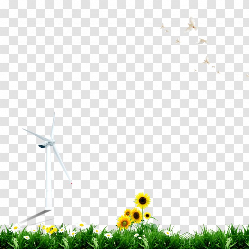 Lawn Wallpaper - Windmill - Sunflower Pigeon,green Transparent PNG