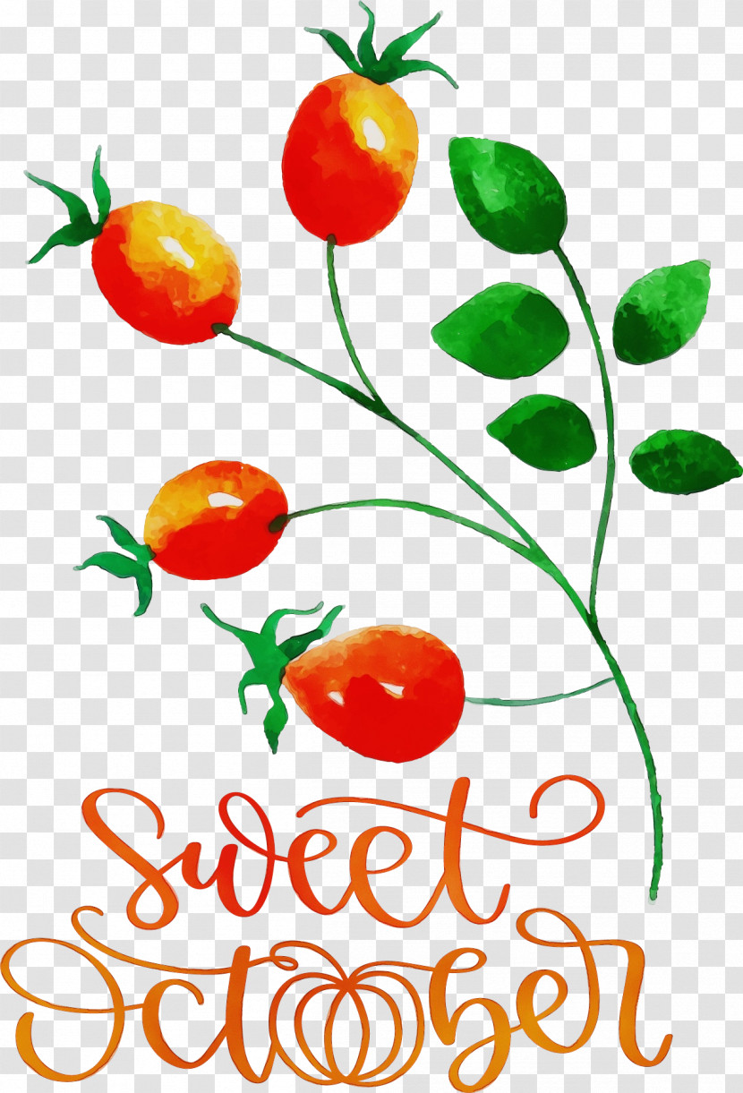 Tomato Transparent PNG