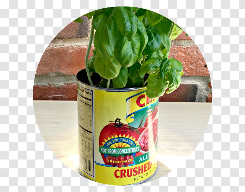 Herb Cento All Purpose Crushed Tomatoes Can - Plant - Milk Carton Garden Transparent PNG