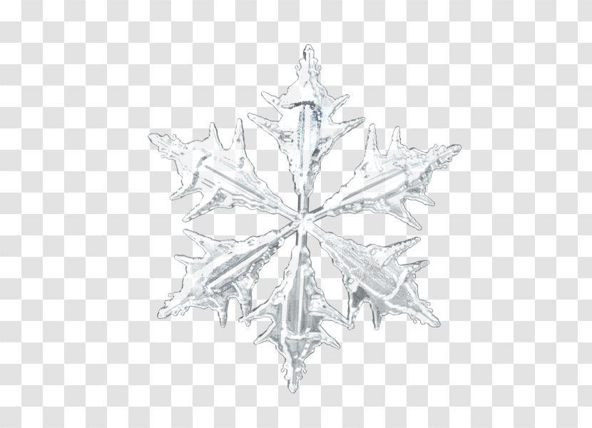 Christmas Hexagon Symbol Snowflake - Symmetry - Hexagonal Snowflakes Transparent PNG
