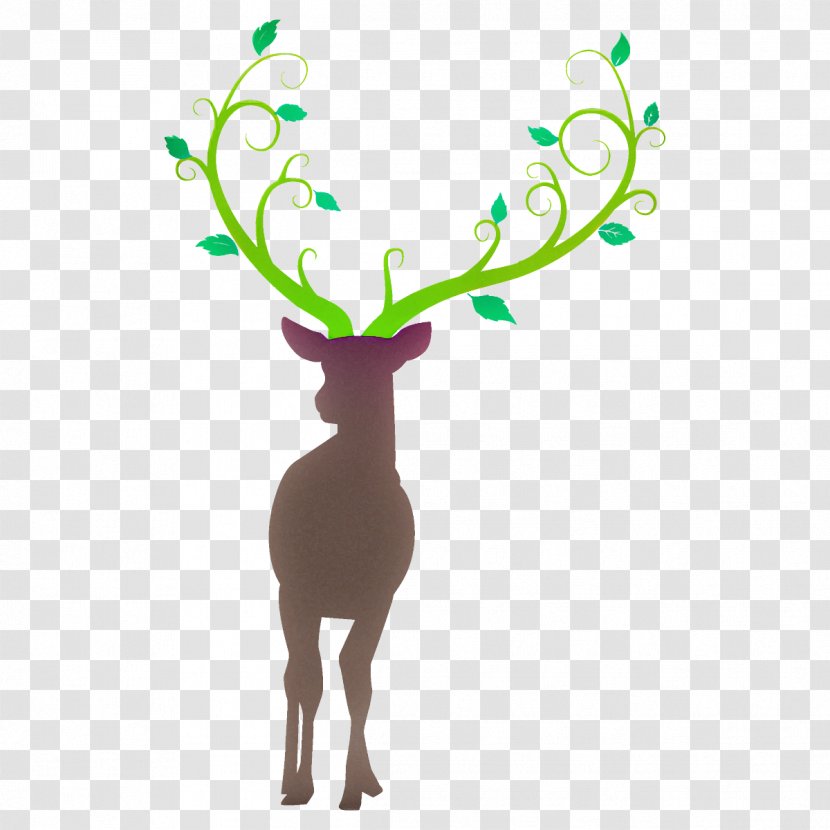 Reindeer - Deer - Tail Wildlife Transparent PNG