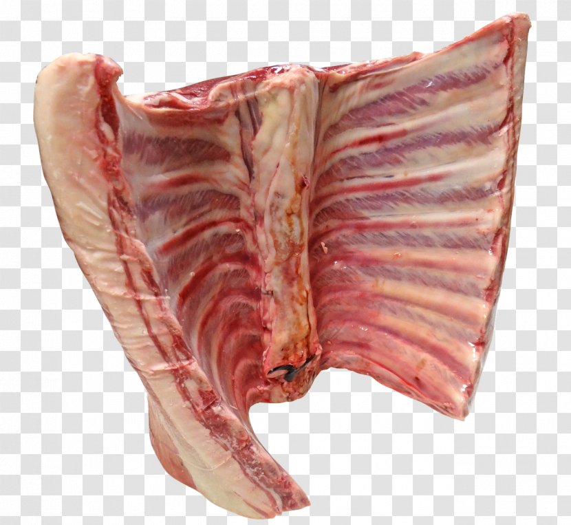 Raw Foodism Lamb And Mutton Saturated Fat Meat - Watercolor Transparent PNG