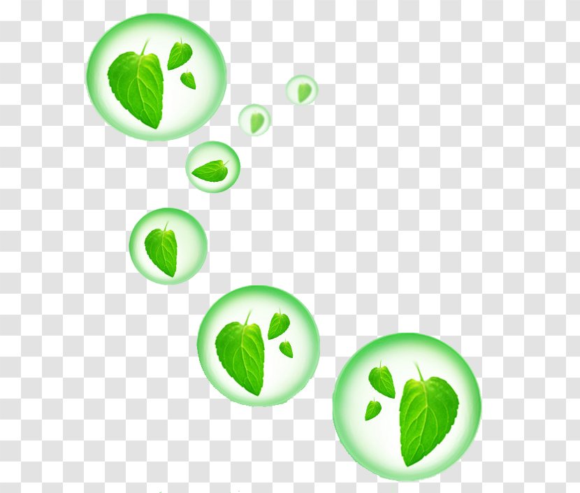 Green Environmental Protection Information - Water - Leaves Bubbles Transparent PNG