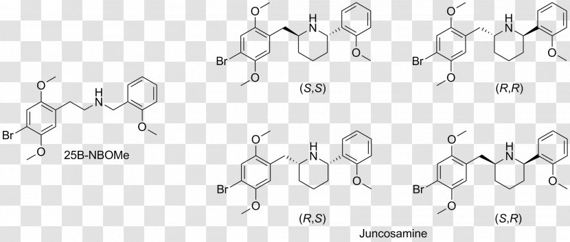 Chemistry University Font - Heart - Tree Transparent PNG