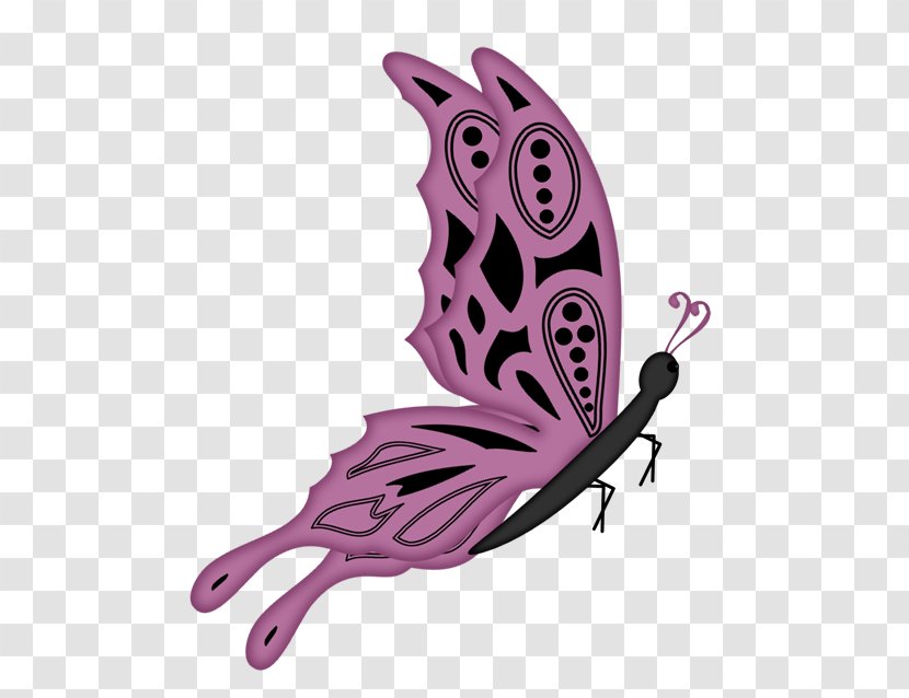 Butterfly Clip Art - Moths And Butterflies - Pink Transparent PNG