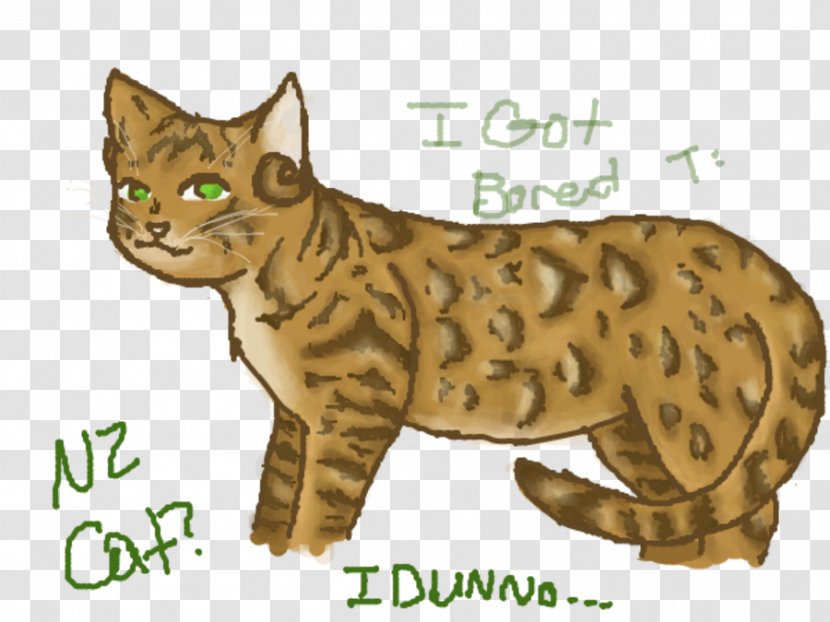 Bengal Cat Ocicat California Spangled Tabby Wildcat - Small To Medium Sized Cats - I Dunno Lol Transparent PNG
