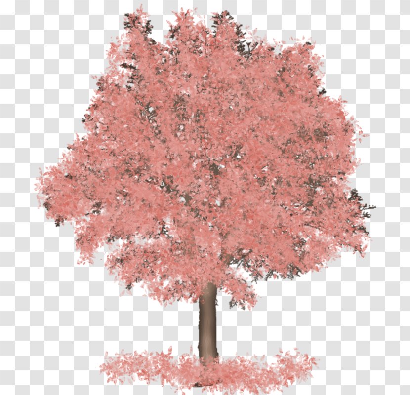 Maple Centerblog Tree Painting Transparent PNG