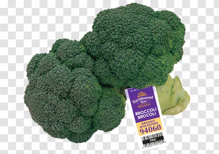 Organic Food Earthbound Farm Broccoli Salad - Celery Transparent PNG