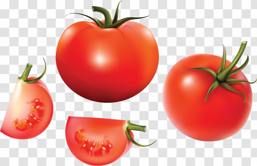 Tomato Clip Art - Soup Transparent PNG
