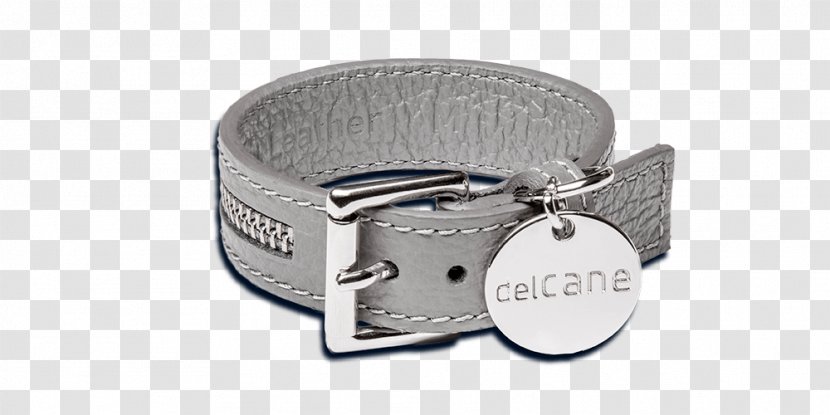 Belt Buckles Strap Product Design - Brass Zipper Bracelet Transparent PNG