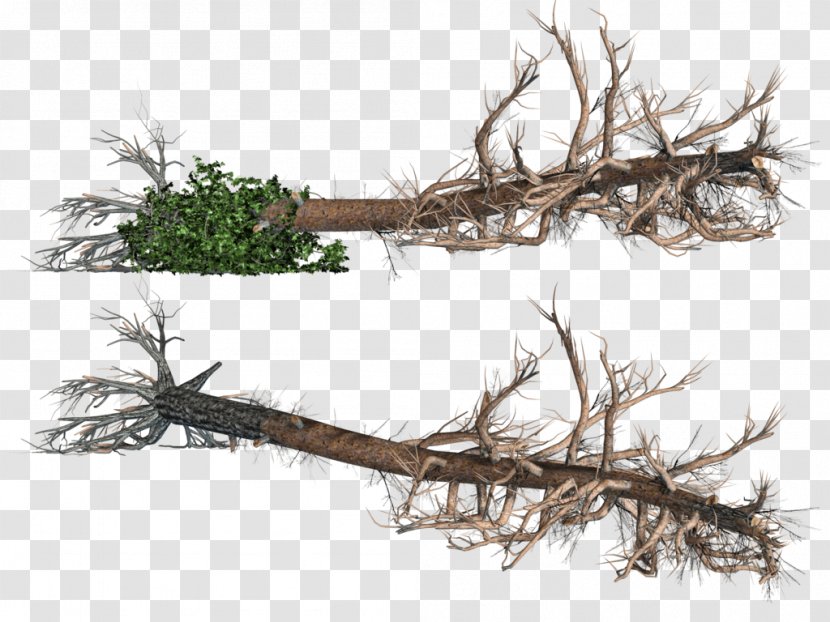 Tree Clip Art - Royaltyfree - Fallen Transparent PNG