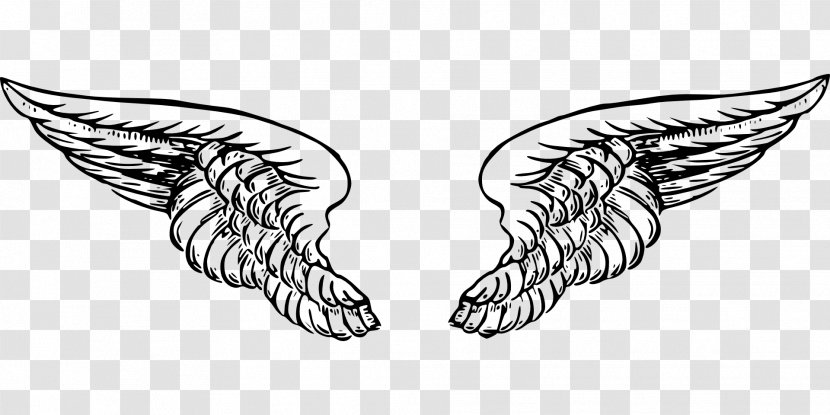 Drawing Clip Art - Joint - Angel Wings Transparent PNG