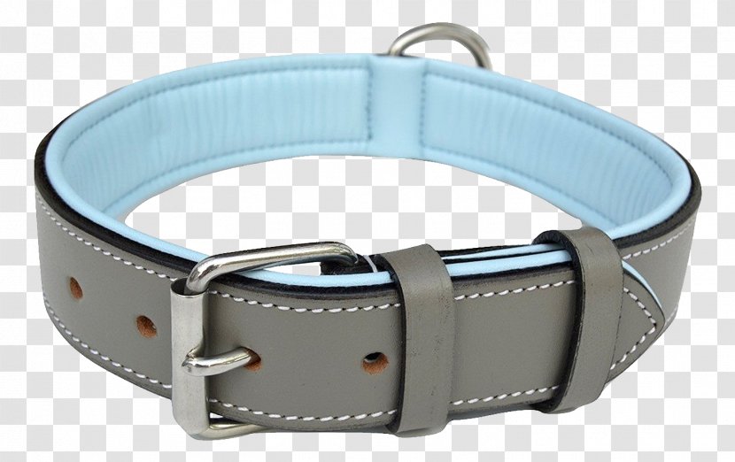 Dog Collar Leather Leash - Fashion Transparent PNG