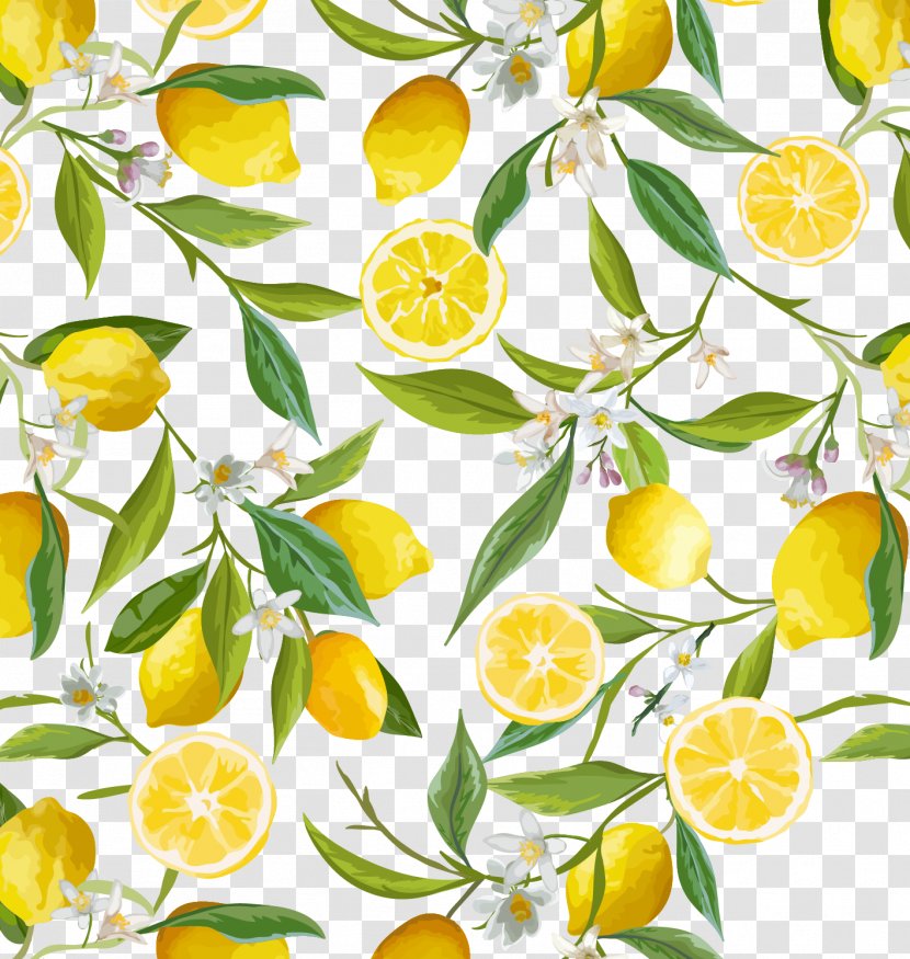 Lemon Flower Stock Photography Clip Art - Textile - Fresh Border Transparent PNG
