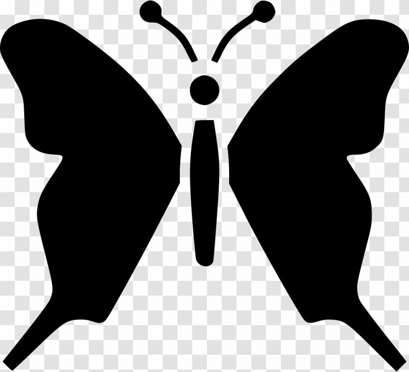 Butterfly Clip Art Vector Graphics Image - Symmetry Transparent PNG