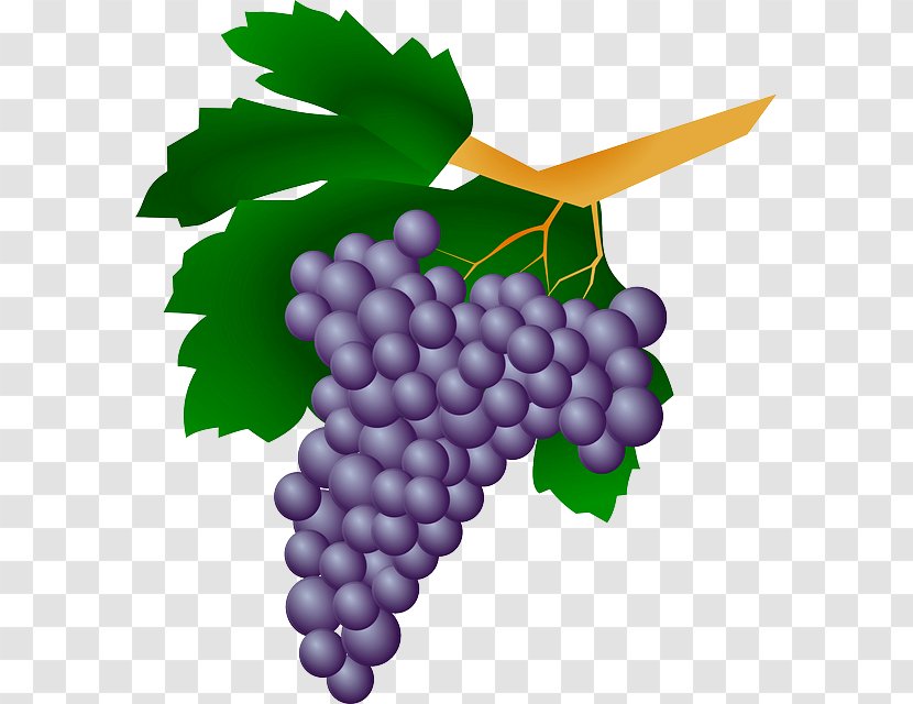 White Wine Grape Kyoho Straw - Leaf - Uvas Transparent PNG