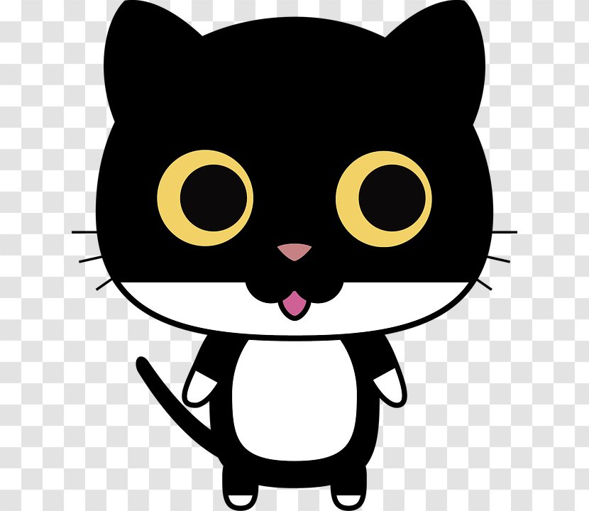 Feral Cat Kitten Bicolor Black - Tuxedo Transparent PNG