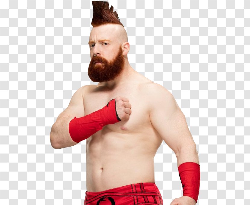 Sheamus Raw Image Format - Heart - Pic Transparent PNG