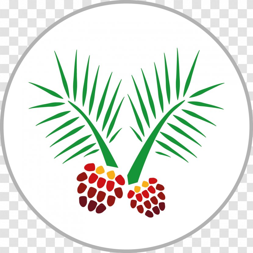 African Oil Palm Fruit Trees Monocotyledon Food - Artwork Transparent PNG