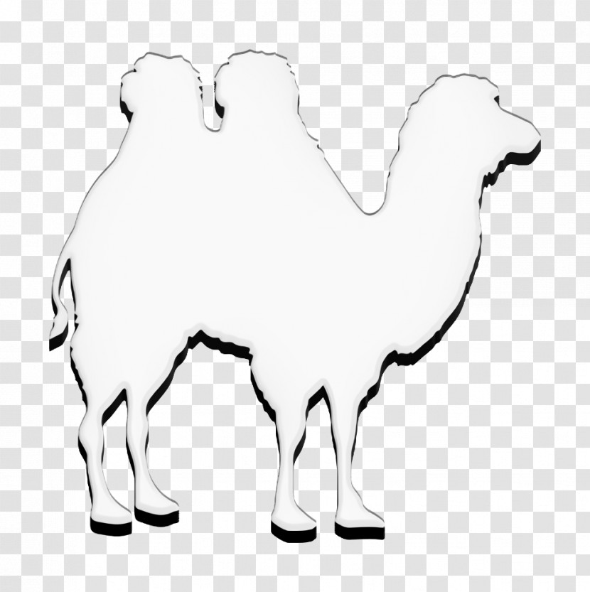 Camel Shape Icon Camel Icon Animals Icon Transparent PNG