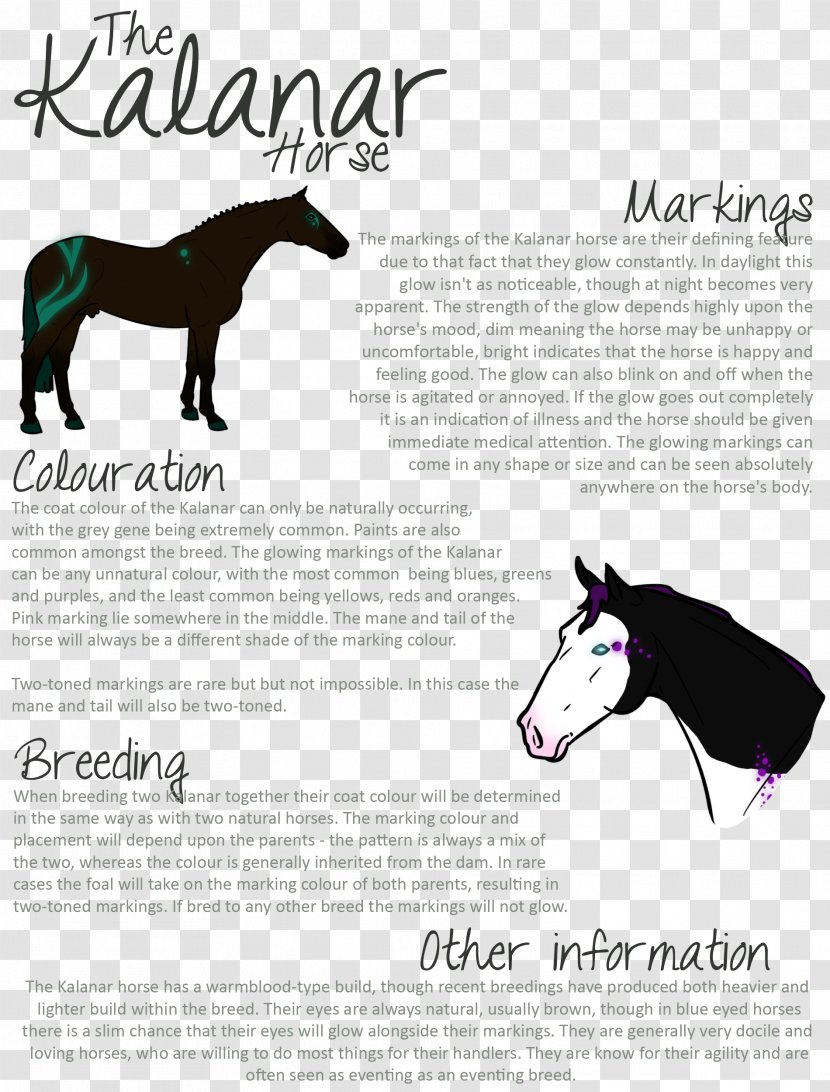 Mustang Mare Horse Tack Stable Mane - Breed Transparent PNG