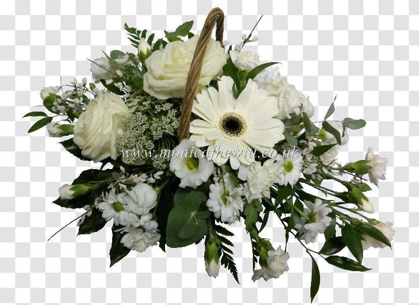 D'tallos Cut Flowers Floristry Floral Design - Transvaal Daisy - White Transparent PNG