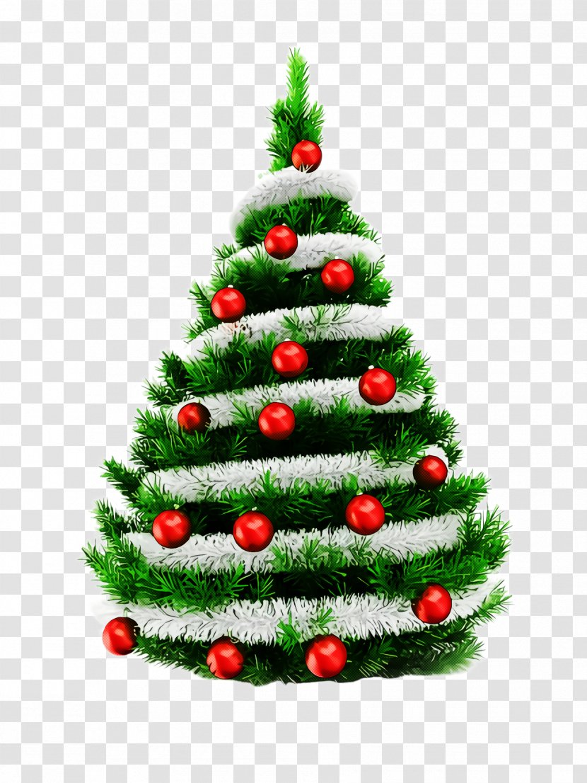 Christmas Tree - Holiday Ornament - Evergreen Transparent PNG