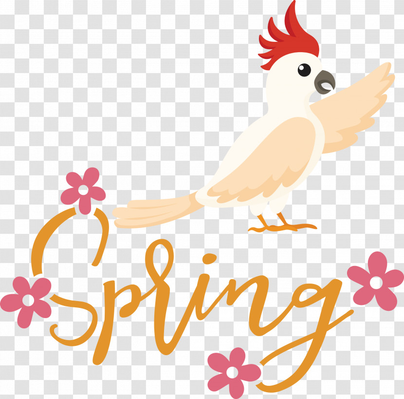 Spring Bird Transparent PNG