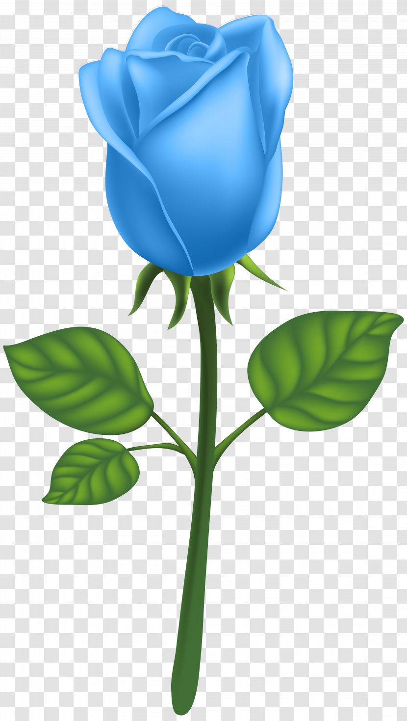 Garden Roses Adobe Illustrator Clip Art - Royalty Free - Blue Deco Rose Image Transparent PNG