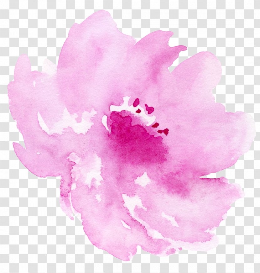 Watercolor: Flowers Watercolor Painting Illustration - Wedding - Ink Pink Floral Elements Transparent PNG