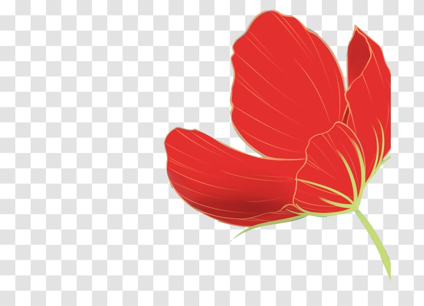 Flower Tulip Image - Flowers For Transparent PNG