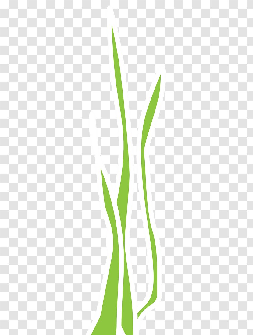 Leaf Green Grasses Plant Stem Clip Art - Nori Seaweed Transparent PNG