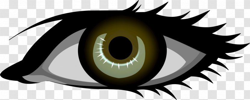 Human Eye Clip Art - Silhouette - Gross Face Cliparts Transparent PNG