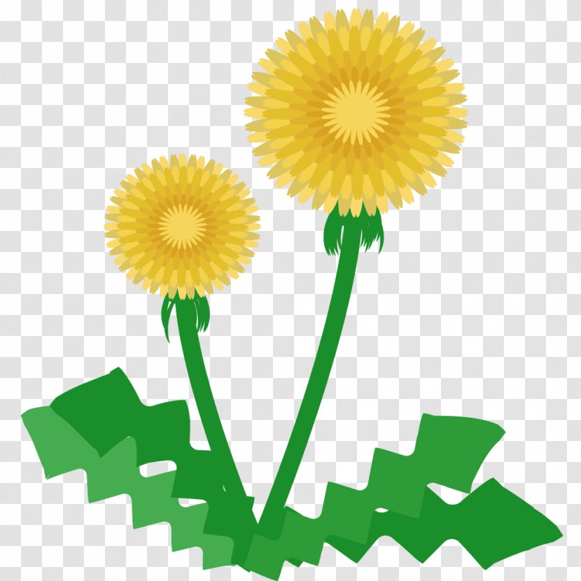 Machilus Thunbergii Illustration Doodle Image Green - Sunflower - Plant Stem Transparent PNG